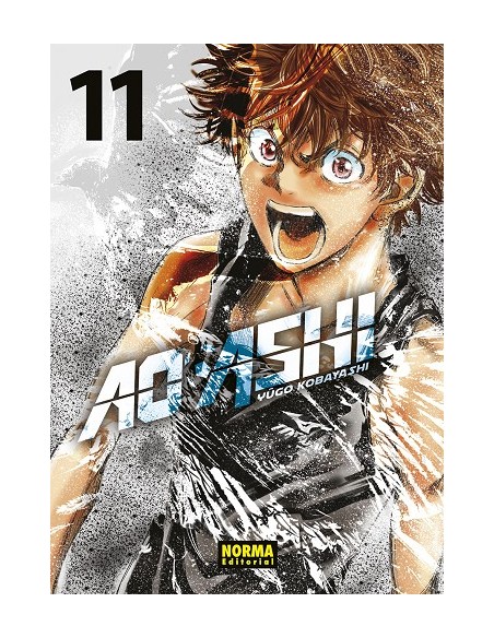 AO ASHI Nº11