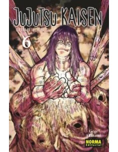 JUJUTSU KAISEN Nº06 (REEDICION)