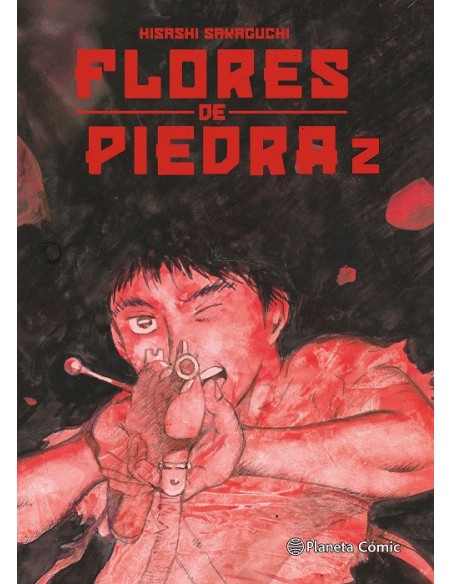 FLORES DE PIEDRA Nº02