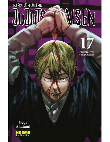 JUJUTSU KAISEN Nº17 (REEDICION)
