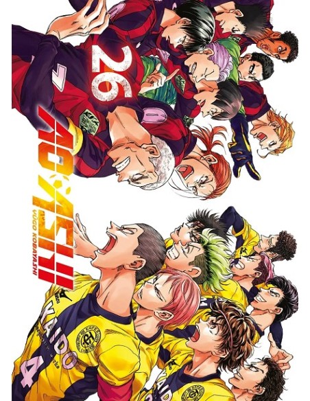 AO ASHI Nº26