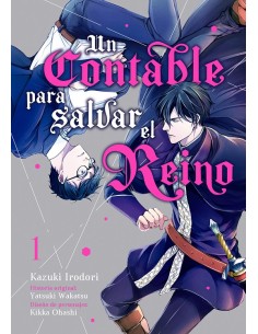 UN CONTABLE PARA SALVAR EL REINO VOL.1