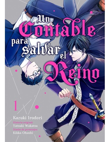 UN CONTABLE PARA SALVAR EL REINO VOL.1