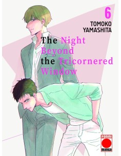 THE NIGHT BEYOND THE TRICORNERED WINDOW Nº06
