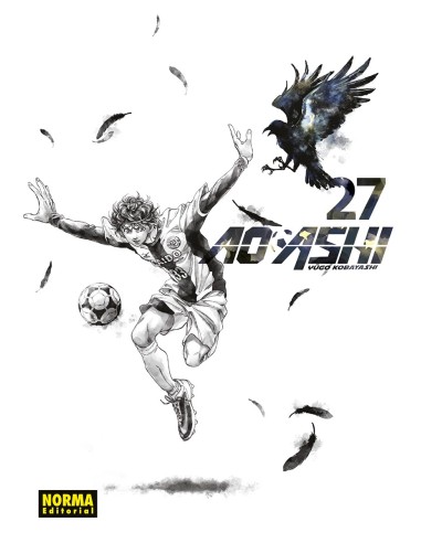 AO ASHI Nº27