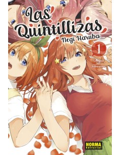 LAS QUINTILLIZAS Nº01