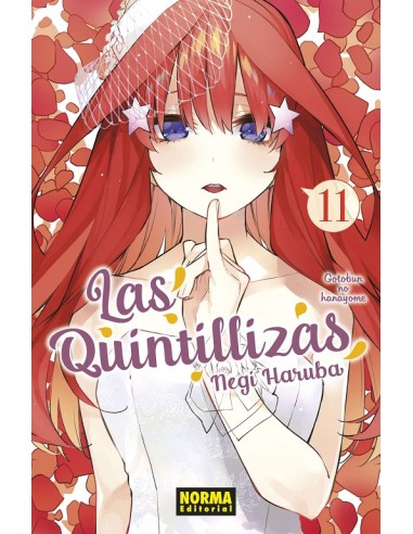 LAS QUINTILLIZAS Nº11