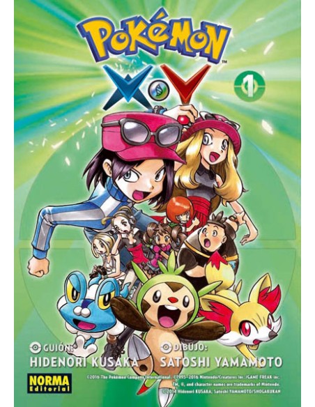 POKEMON X-Y 1