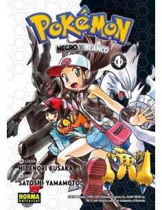 POKEMON: NEGRO Y BLANCO Nº01