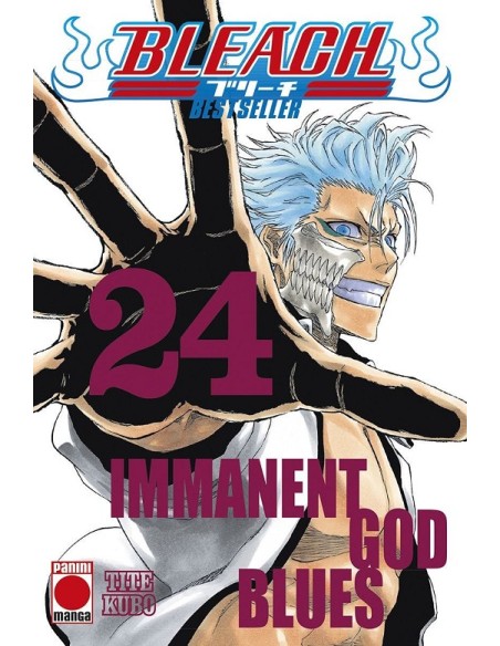 BLEACH BESTSELLER Nº24