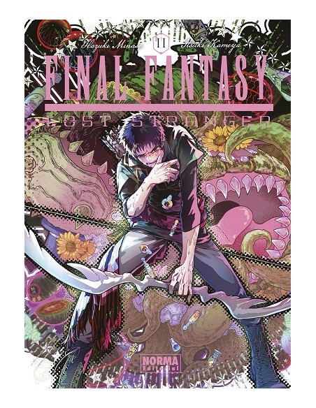 FINAL FANTASY LOST STRANGER Nº11