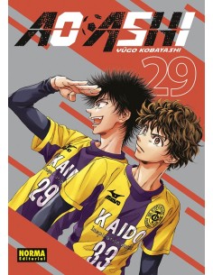 AO ASHI Nº29