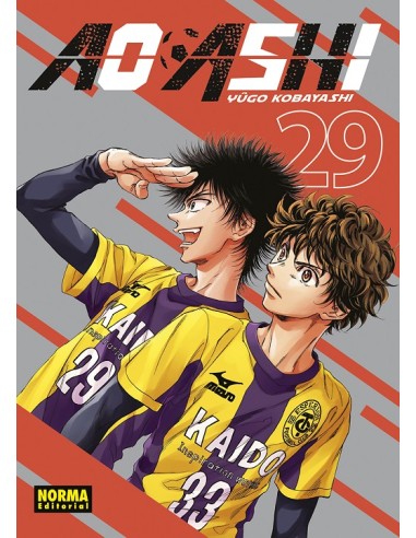 AO ASHI Nº29