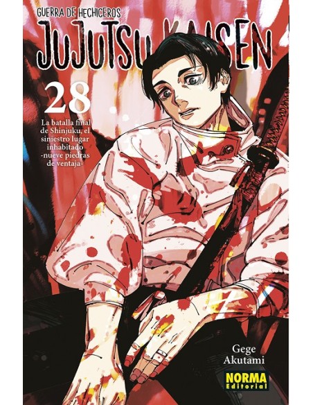 JUJUTSU KAISEN Nº28