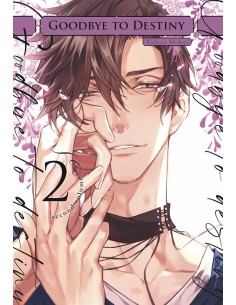 GOODBYE TO DESTINY Nº02