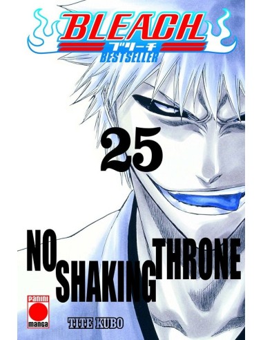 BLEACH BESTSELLER Nº25