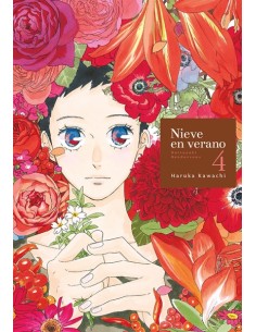 NIEVE EN VERANO Nº4