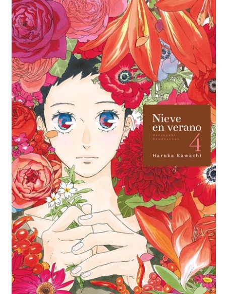 NIEVE EN VERANO Nº4