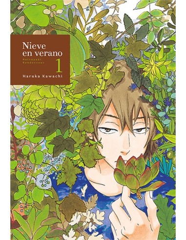 NIEVE EN VERANO Nº1