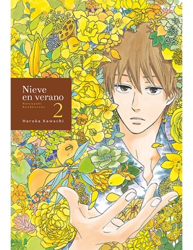 NIEVE EN VERANO Nº2