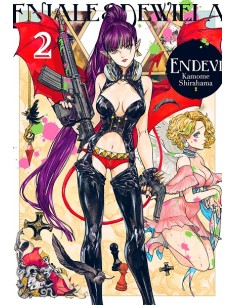 ENDEVI Nº02