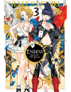 ENDEVI Nº03