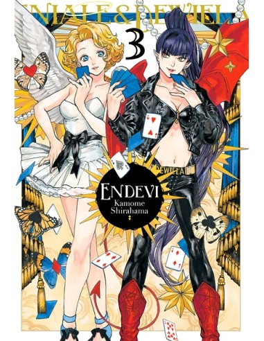 ENDEVI Nº03