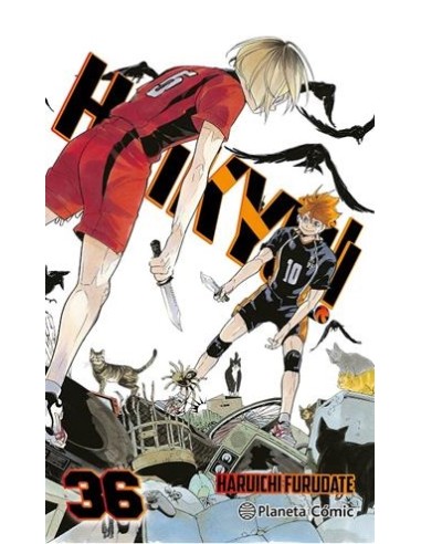 HAIKYÛ!! Nº36