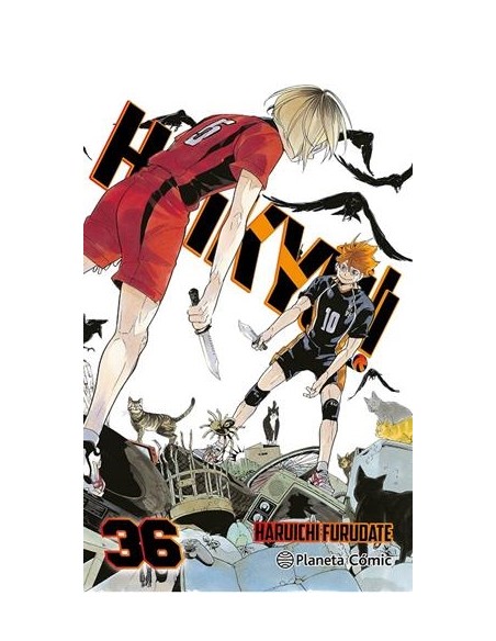 HAIKYÛ!! Nº36