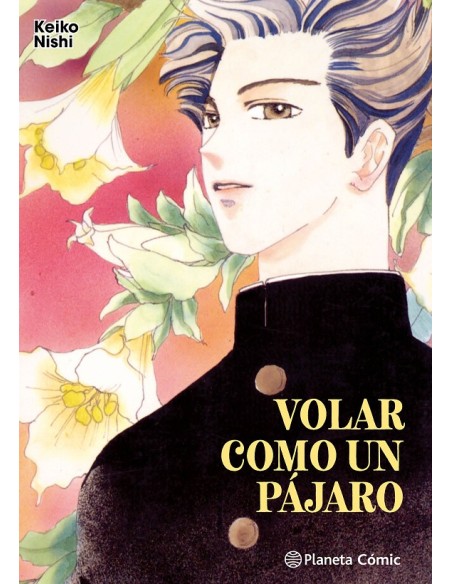 VOLAR COMO UN PAJARO