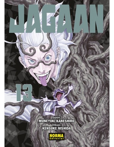 JAGAAN Nº13