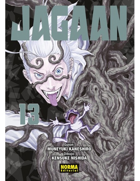 JAGAAN Nº13