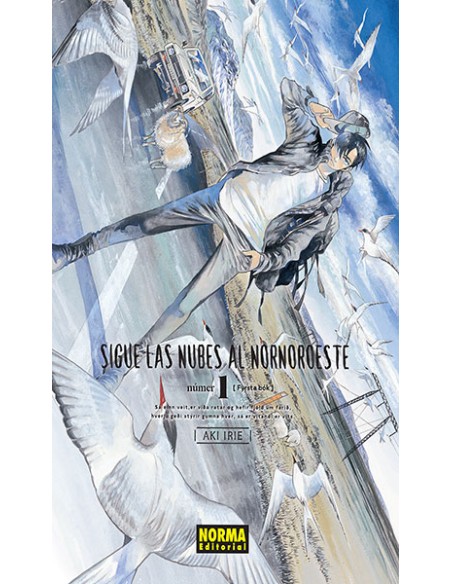 SIGUE LAS NUBES AL NORNOROESTE Nº01