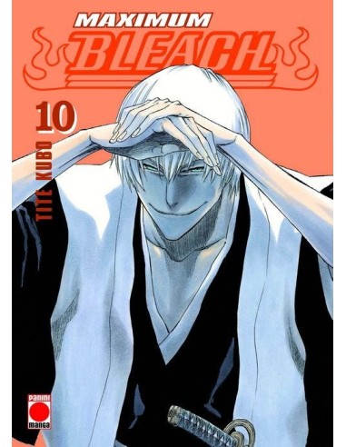 BLEACH MAXIMUM VOLUMEN 10 (REEDICION)