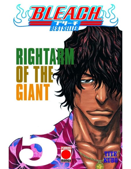 BLEACH BESTSELLER Nº05