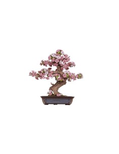 Sakura Bonsai - 3D en madera - Madness toys