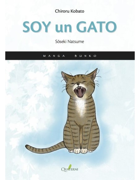 SOY UN GATO