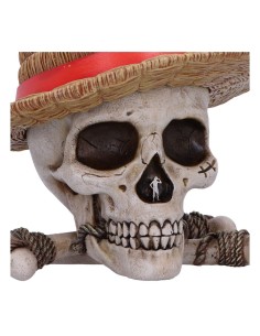 One Piece - Bote de almacenamiento - Nemesis Now 2