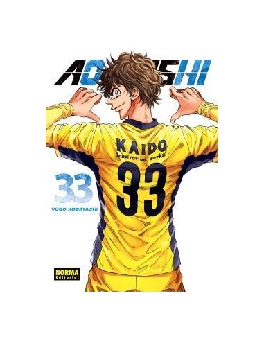 AO ASHI Nº33