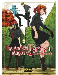 ANCIENT MAGUS BRIDE, THE Nº11