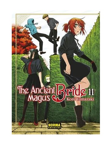 ANCIENT MAGUS BRIDE, THE Nº11