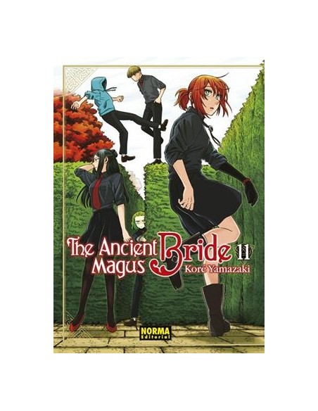 ANCIENT MAGUS BRIDE, THE Nº11
