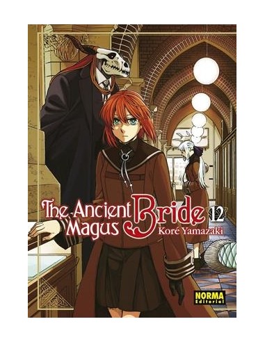 ANCIENT MAGUS BRIDE, THE Nº12