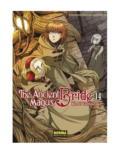 ANCIENT MAGUS BRIDE, THE Nº14