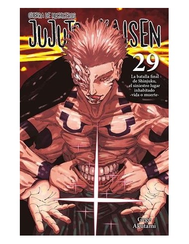 JUJUTSU KAISEN Nº29