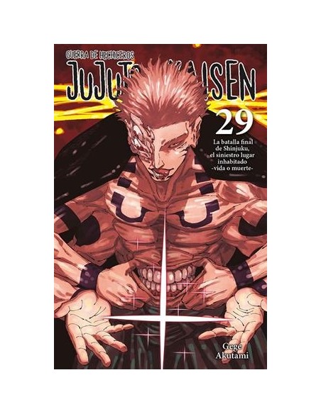 JUJUTSU KAISEN Nº29
