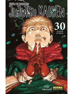 JUJUTSU KAISEN Nº30