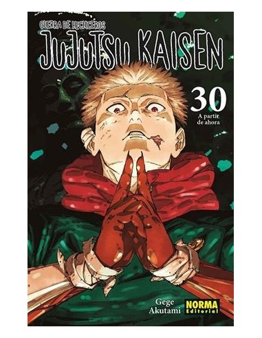 JUJUTSU KAISEN Nº30