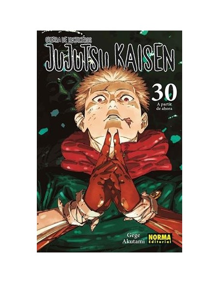 JUJUTSU KAISEN Nº30