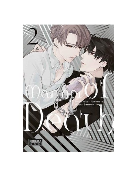 MANNER OF DEATH Nº02